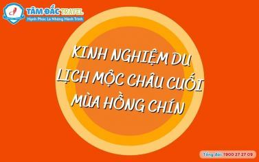 Kinh nghiệm du lịch Mộc Châu cuối mùa hồng chín